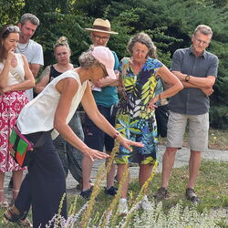Bei der Führung zum Projekt „Linz blüht auf – ganz ohne Gießen“ erklärt Projektleiterin DI Dr. Michaela Köpl den Teilnehmerinnen und Teilnehmern die Besonderheiten des trockenheitsverträglichen Beetes