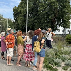 Die Gruppe lauscht Projektleiterin DI Dr. Michaela Köpl bei der Führung zum Projekt „Linz blüht auf – ganz ohne Gießen“