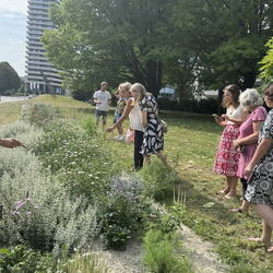 Projektleiterin DI Dr. Michaela Köpl bei einer Führung zum Projekt „Linz blüht auf – ganz ohne Gießen“ gemeinsam mit den Teilnehmerinnen und Teilnehmern
