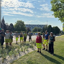 Projektleiterin DI Dr. Michaela Köpl erklärt Stadtgärtnerinnen und Stadtgärtnern des Magistrats Linz, wie trockenheitsverträgliche Stauden, unterschiedliche Wurzelsysteme und Mulchschichten klimaresiliente Blumenbeete ermöglichen
